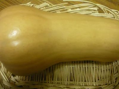 バターナッツかぼちゃ