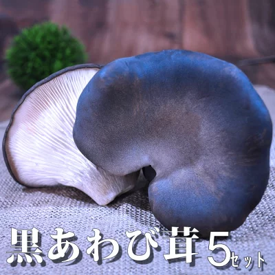黒あわび茸