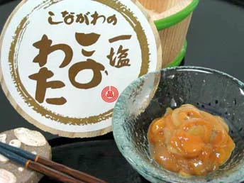 瀬戸内海産このわた